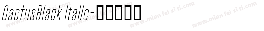 CactusBlack Italic字体转换